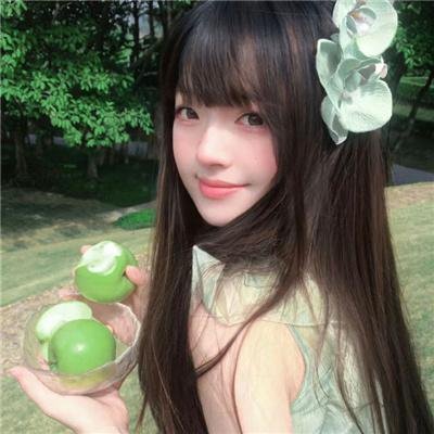 黑眉蚊